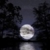 moonlight-lake
